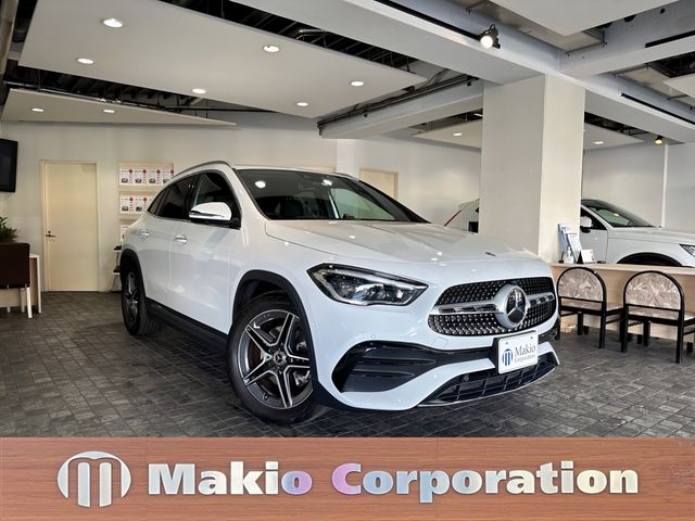 Mercedes Benz GLA-CLASS 2021-11 19161-0