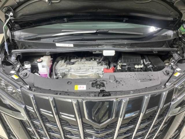 Toyota ALPHARD 2021-07 12618-19