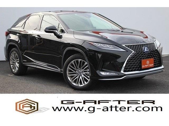 Lexus RX 2020-01 23819-0