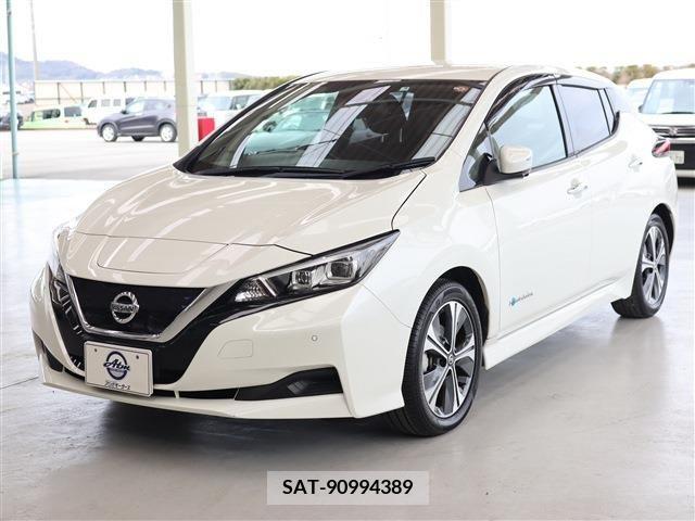 Nissan LEAF 2019-09 224751-0