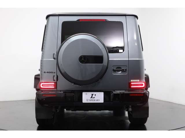 Mercedes Benz G-CLASS 2021-03 194080-18