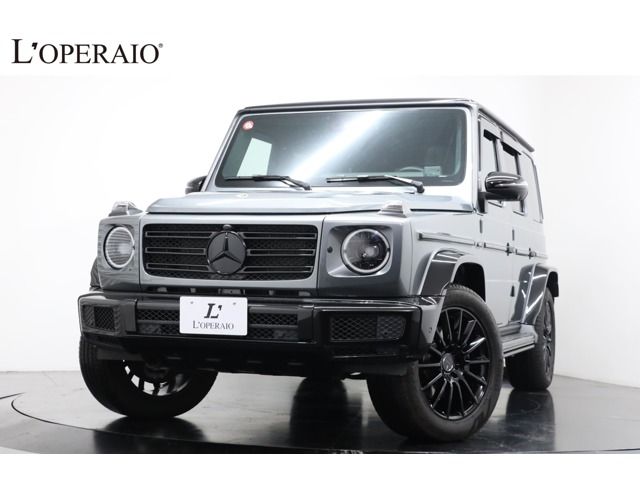 Mercedes Benz G-CLASS 2021-03 194080-0