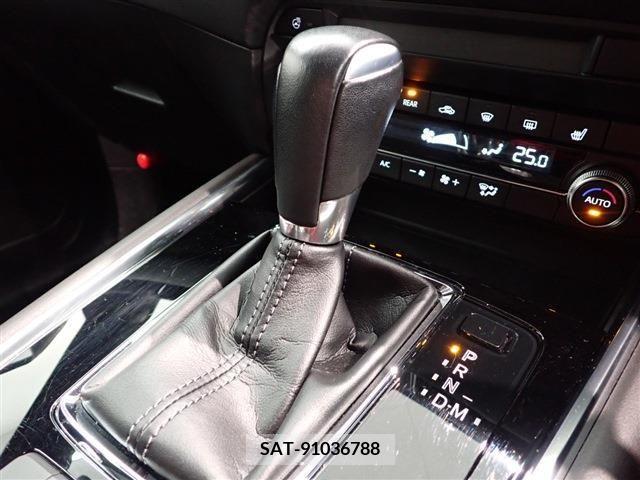 Mazda CX-8 2020-01 224278-18