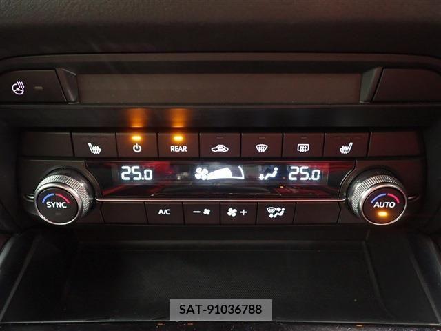 Mazda CX-8 2020-01 224278-15