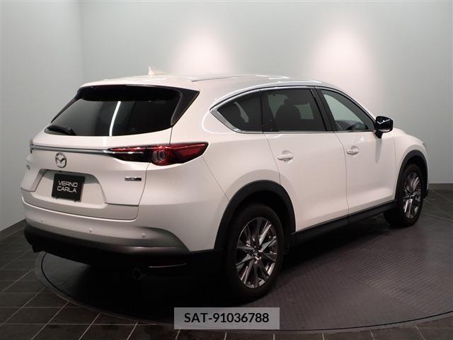 Mazda CX-8 2020-01 224278-3