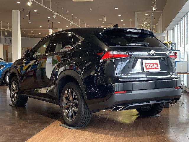 Lexus NX 2015-11 20079-1