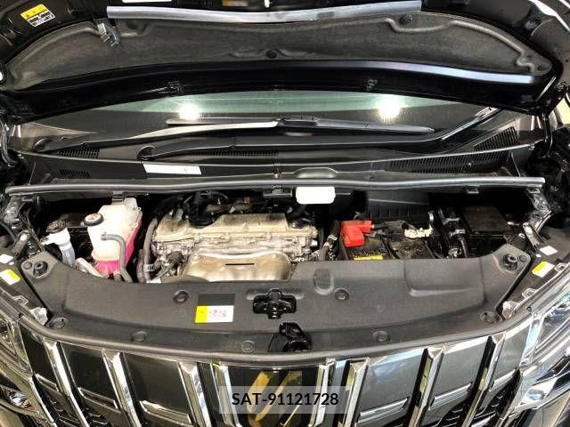 Toyota ALPHARD 2021-06 379885-19