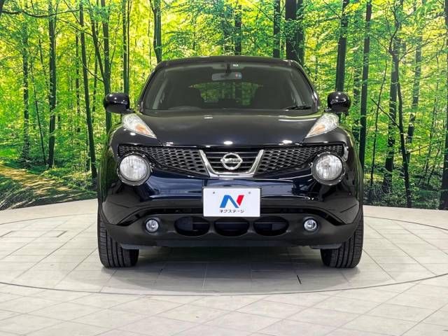 Nissan JUKE 2011-07 182147-13