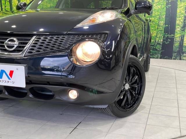 Nissan JUKE 2011-07 182147-11