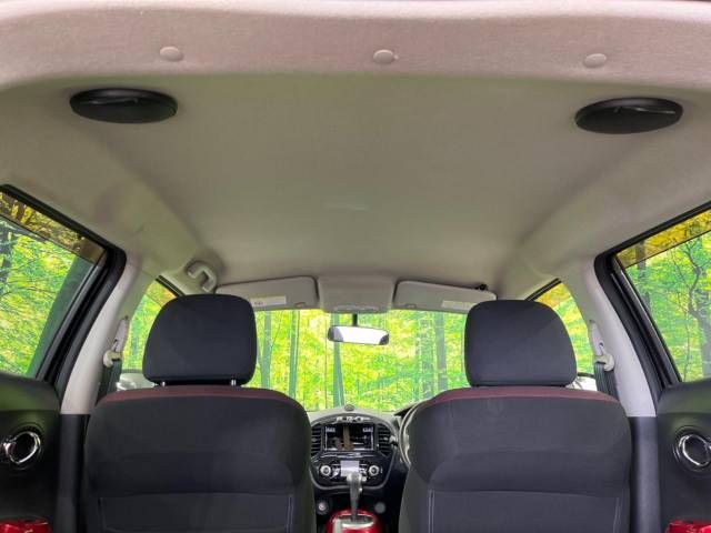 Nissan JUKE 2011-07 182147-17