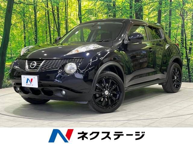 Nissan JUKE 2011-07 182147-0