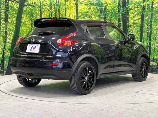 Nissan JUKE 2011-07 182147-16