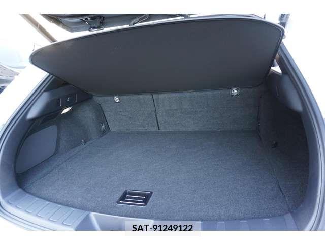 Lexus UX 2019-03 313530-18