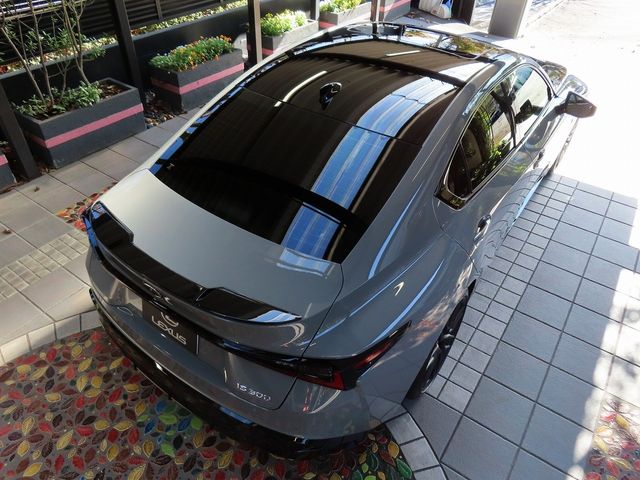 Lexus IS 2023-01 196336-15
