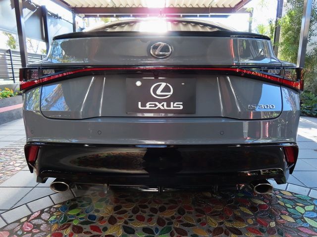 Lexus IS 2023-01 196336-4
