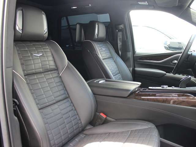 Cadillac ESCALADE 2022-01 10020-5