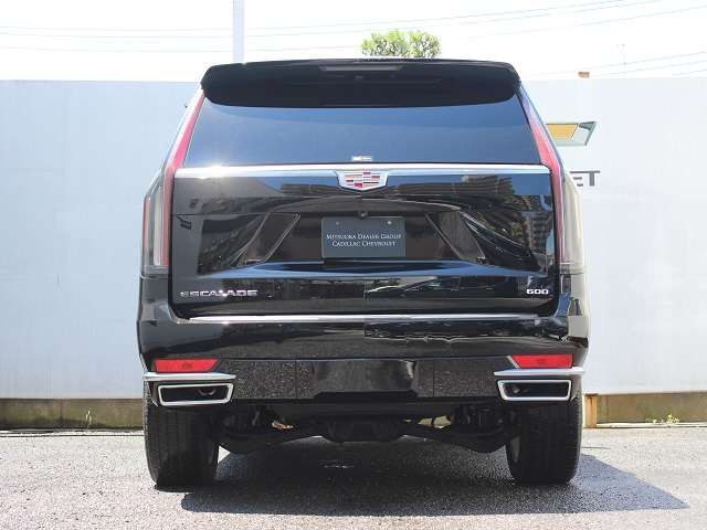 Cadillac ESCALADE 2022-01 10020-8