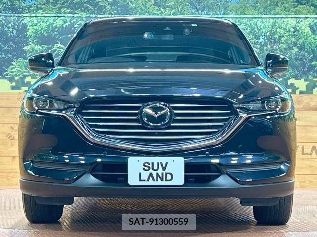Mazda CX-8 2019-05 266565-14