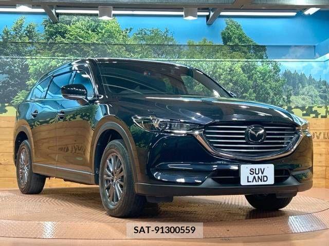 Mazda CX-8 2019-05 266565-16