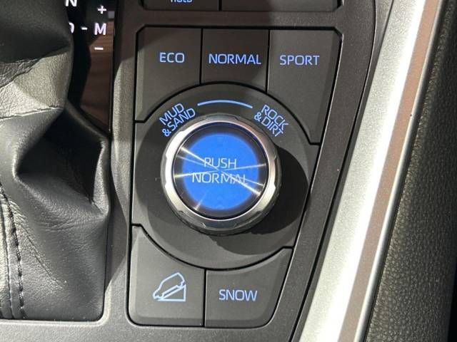 Toyota RAV4 2021-07 196252-7
