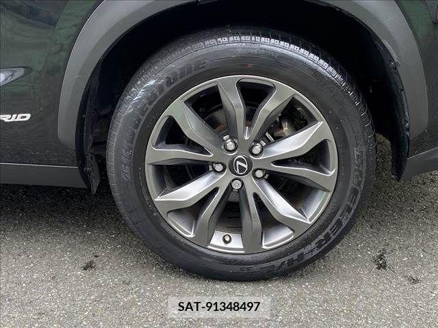 Lexus NX 2019-01 391906-5