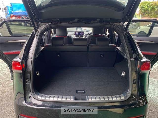 Lexus NX 2019-01 391906-11