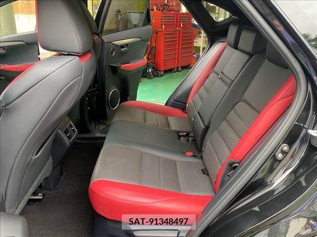 Lexus NX 2019-01 391906-10