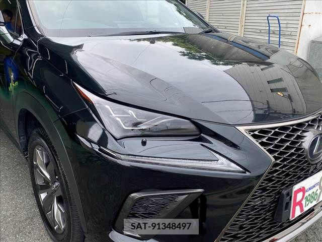 Lexus NX 2019-01 391906-28