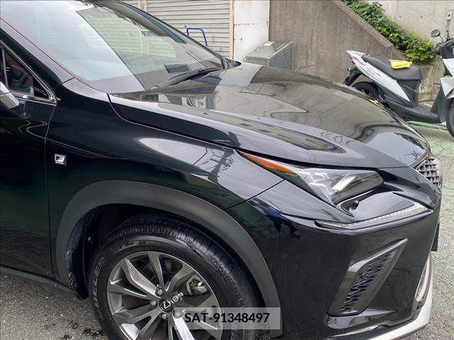 Lexus NX 2019-01 391906-27
