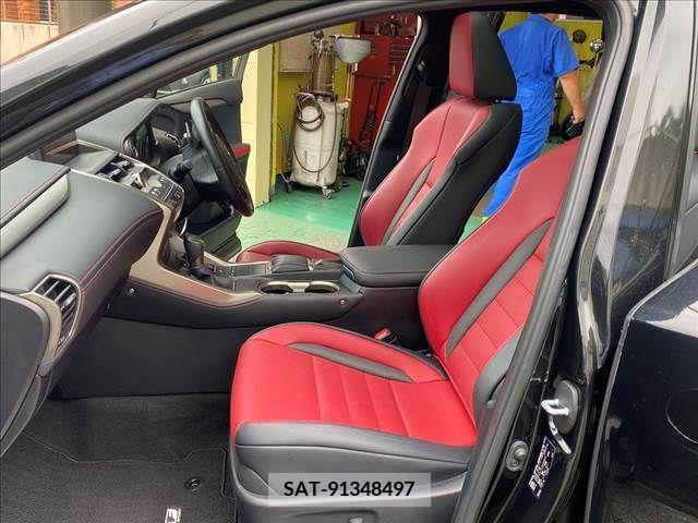 Lexus NX 2019-01 391906-8
