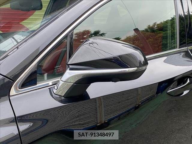 Lexus NX 2019-01 391906-7