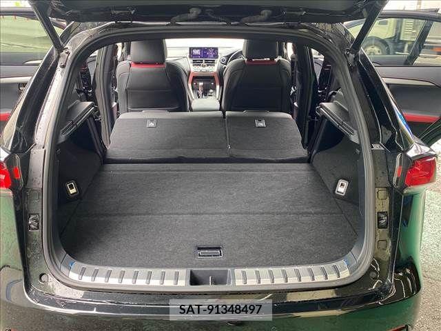 Lexus NX 2019-01 391906-15