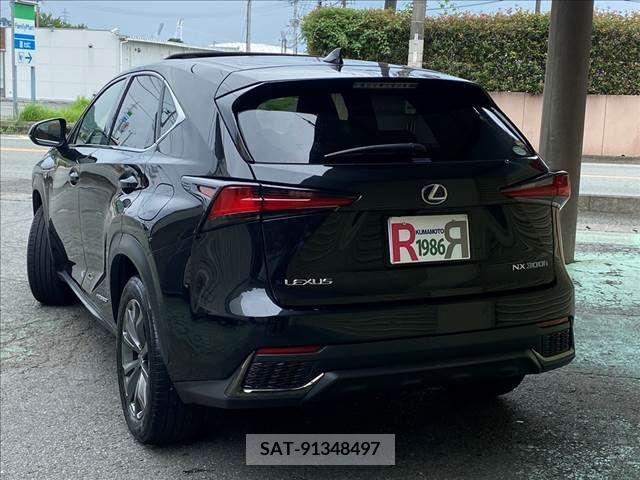 Lexus NX 2019-01 391906-6
