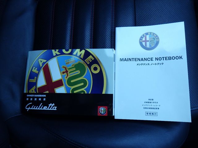 ALFA ROMEO GIULIETTA 2013-12 191895-29