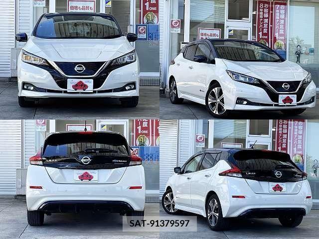 Nissan LEAF 2018-03 274704-8