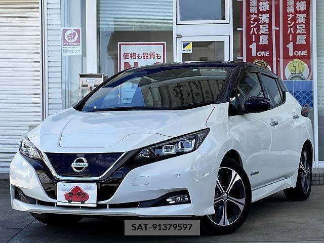 Nissan LEAF 2018-03 274704-0