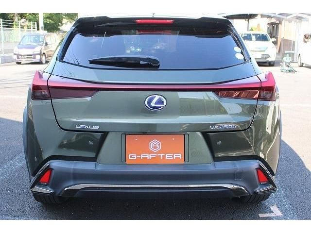 Lexus UX 2019-07 7653-8