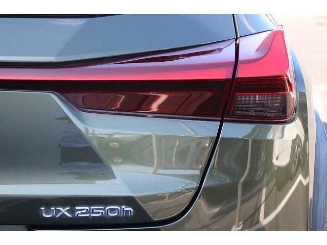 Lexus UX 2019-07 7653-11
