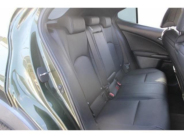 Lexus UX 2019-07 7653-14