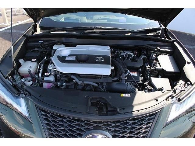 Lexus UX 2019-07 7653-18