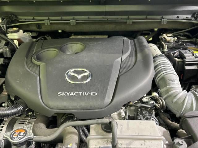 Mazda CX-8 2021-02 194918-19