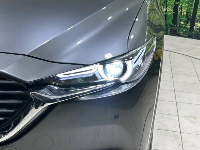 Mazda CX-8 2021-02 194918-13