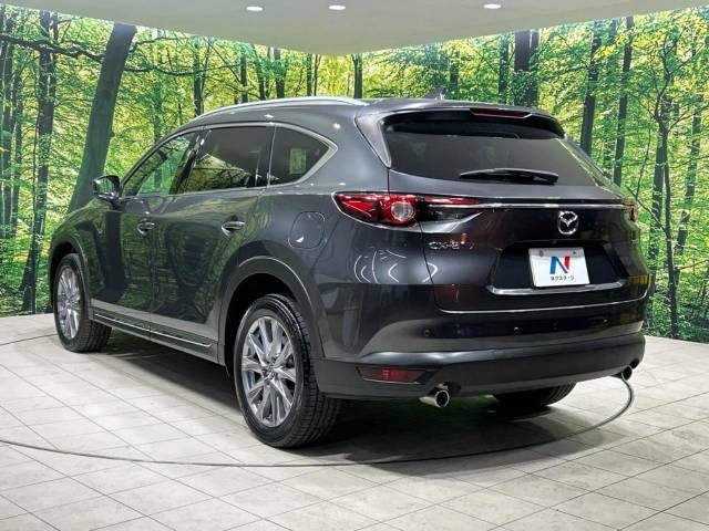 Mazda CX-8 2021-02 194918-18