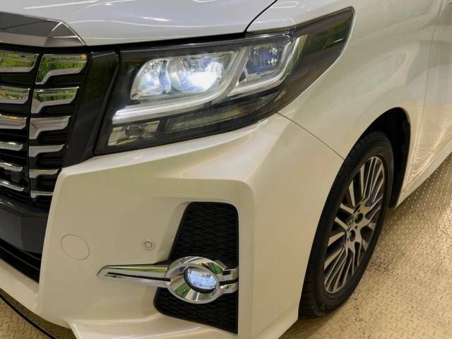 Toyota ALPHARD 2016-11 185098-13