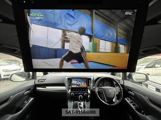 Toyota ALPHARD 2017-11 378689-1