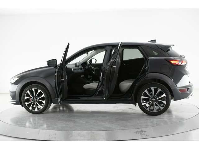 Mazda CX-3 2018-06 22286-8