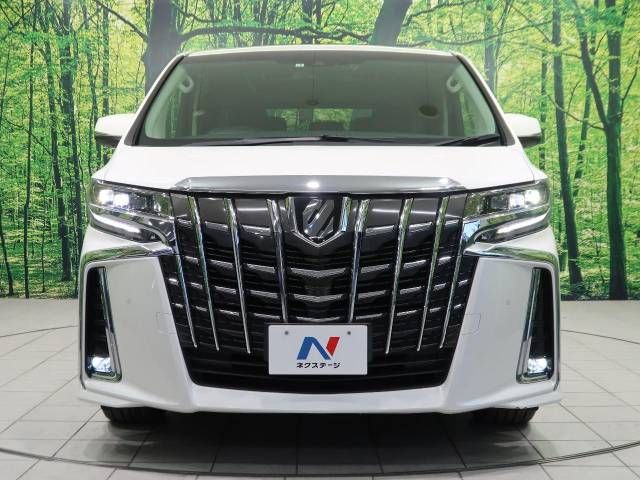Toyota ALPHARD 2021-01 187813-16