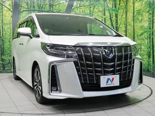 Toyota ALPHARD 2021-01 187813-18