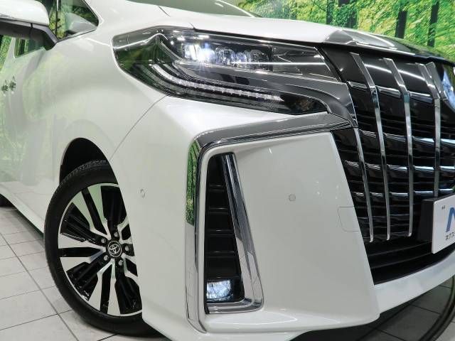 Toyota ALPHARD 2021-01 187813-14