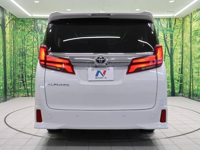 Toyota ALPHARD 2021-01 187813-17